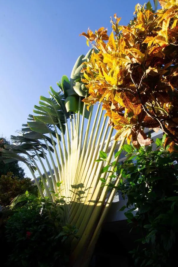Casa Valeria Boutique Hotel Sosua 3*,