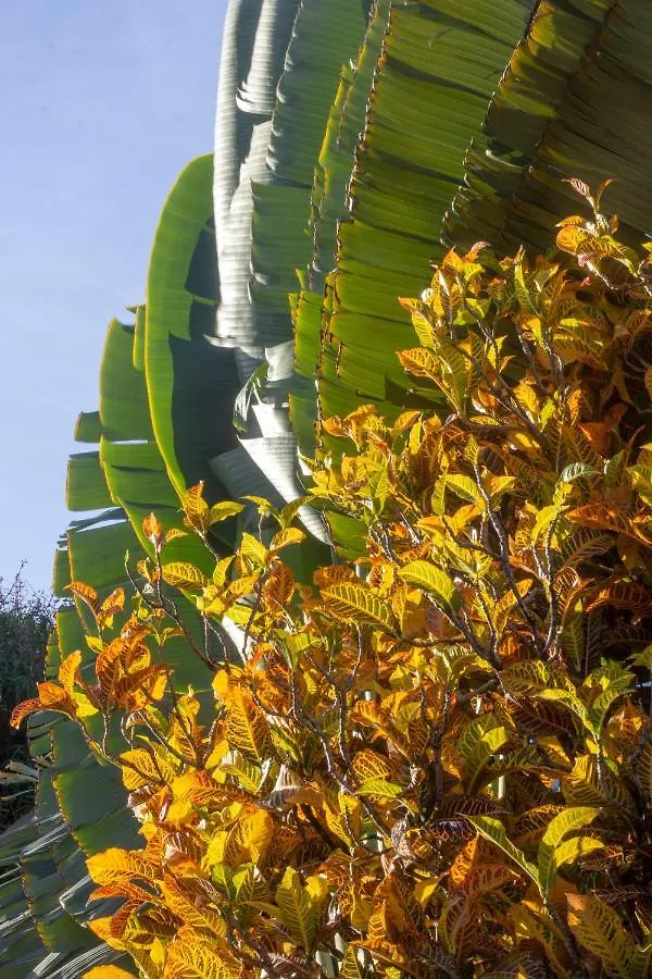 Casa Valeria Boutique Hotel Sosua