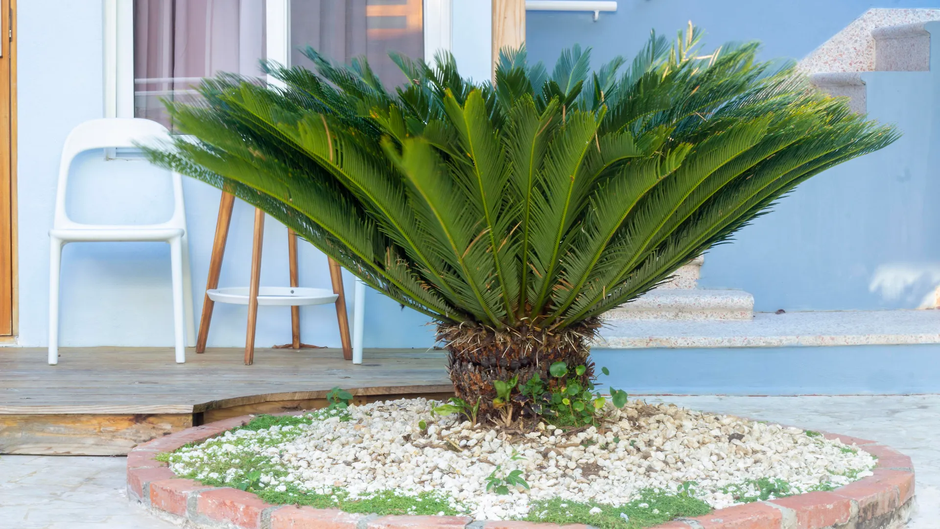 Casa Valeria Boutique Hotel Sosua 3*,  Dominican Republic